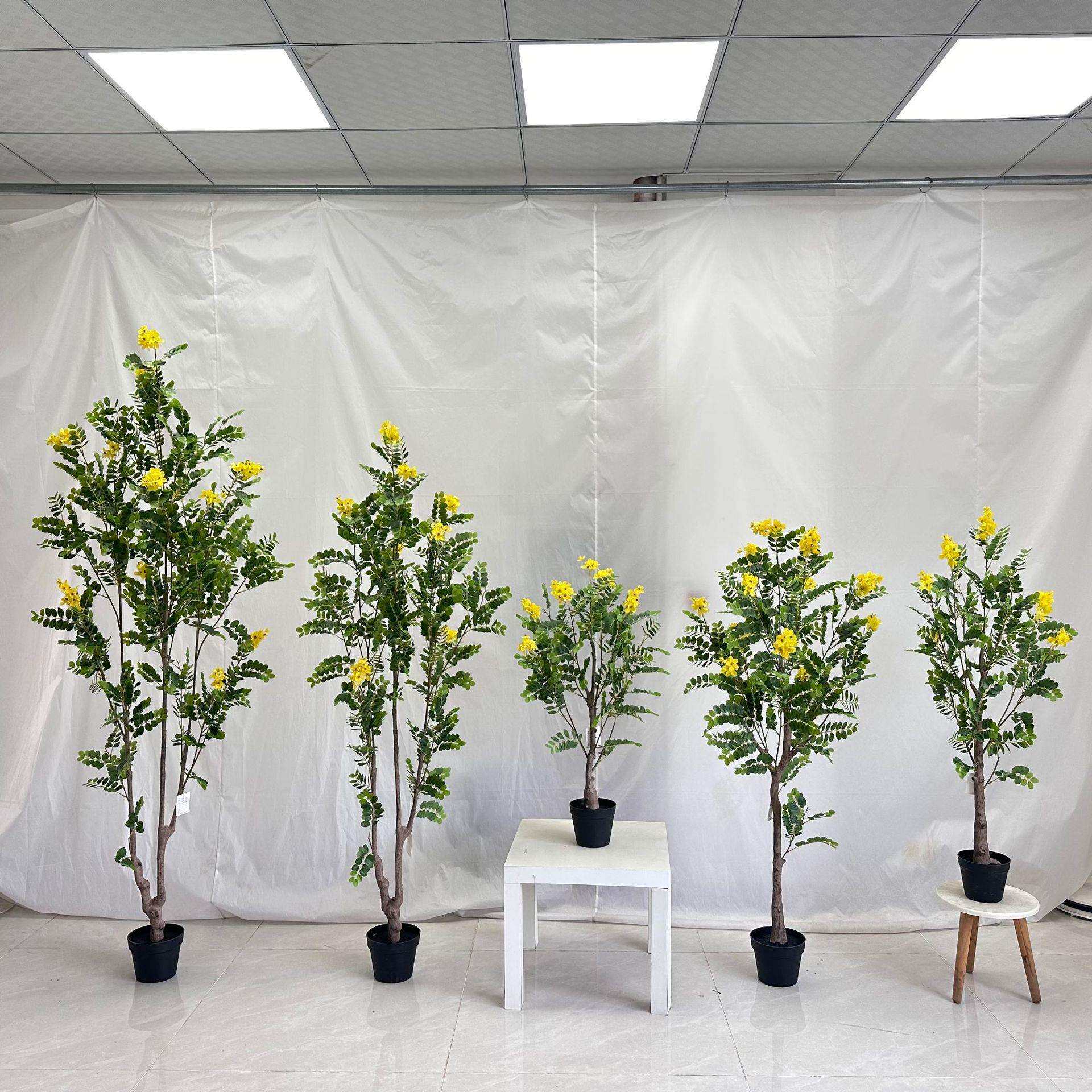 槐花绿植室内落地假树装饰摆件假绿植盆栽黄槐花树