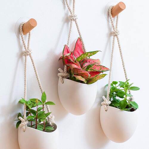 吊篮花盆白色陶瓷墙上壁挂花盆免打孔水培绿植创意装饰吊盆悬挂式