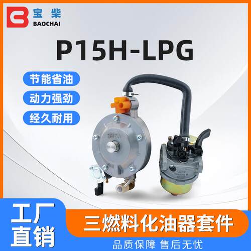P15H-LPG三燃料化油器 GX100 152F 汽油水泵发动机化油器