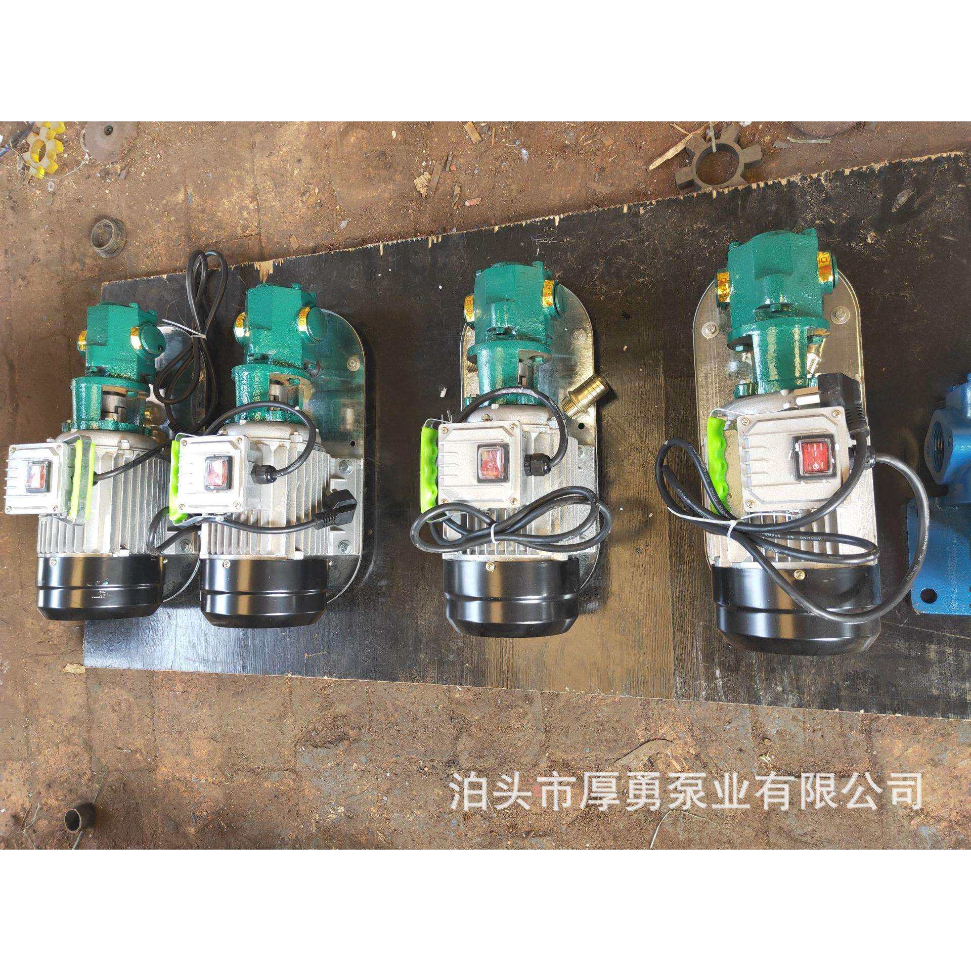 厂家直供WCB型手提式卧式不锈钢齿轮油泵转子泵微型泵