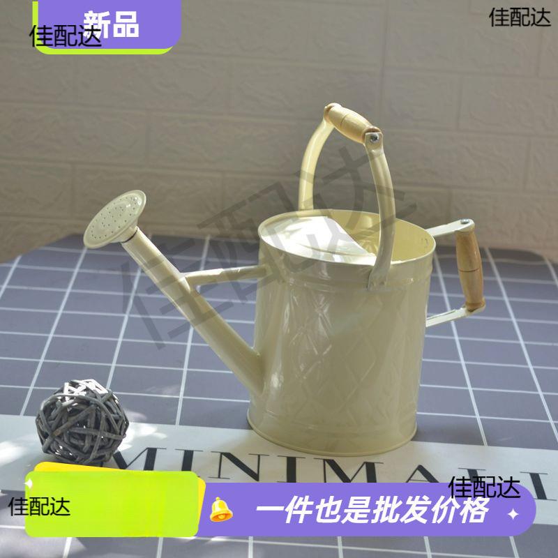 出口欧美两用铁洒水壶浇花家用种菜养花大号浇花壶大容量园艺喷壶
