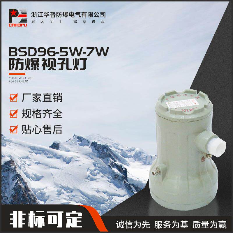 生产防爆视孔灯BSD96-5W-7W防爆视镜灯 防爆安全照明灯LED防腐灯