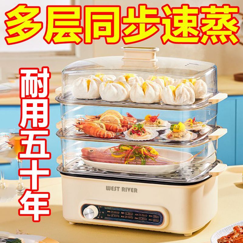 德国电蒸炉多功能家用蒸鱼锅自动断电蒸锅三层大容量智能预约保温