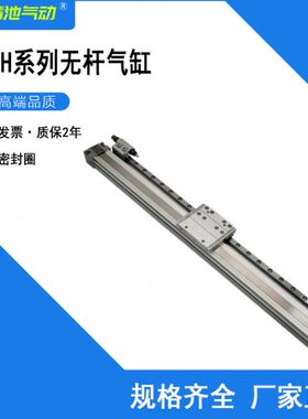 09M20G0/YH8YA2070/A/无杆气缸0//010LH-/60型010/0直线导轨H0M1