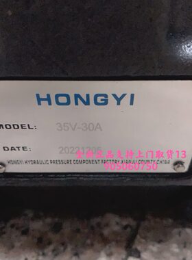 士 Y型5A格V3355A油泵35AAV3液压泵ONIV2H08V3威35 35G