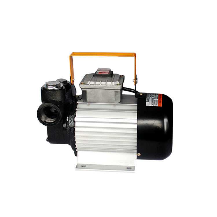 ACTP60 220v电压抽油泵电动加油泵 直流加油泵吸油泵柴油泵