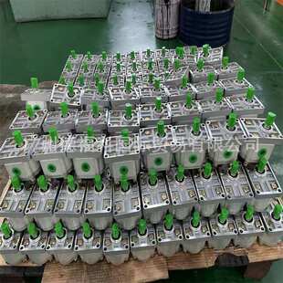 B100Y 摆线齿轮油泵BB B80Y B125Y B63Y