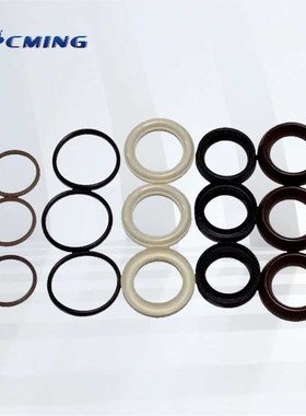 意大利原装AR高压柱塞泵RR\RRA 系列水封维修配件COD42549