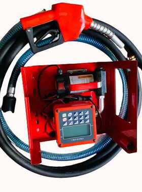 定量油泵 柴油计量泵 DC Fuel  Preset Flow Meter Pump Kit