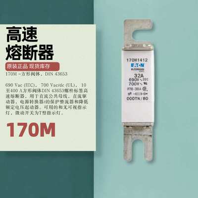 170M2673巴斯曼 工业专用 高速保险丝/熔断器/熔丝1000V 20A-225A