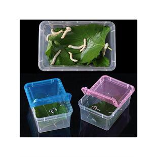 蚕盒养蚕专用盒蚕宝宝饲养盒爬宠饲养箱养蚕用的盒子蚕活体高透养