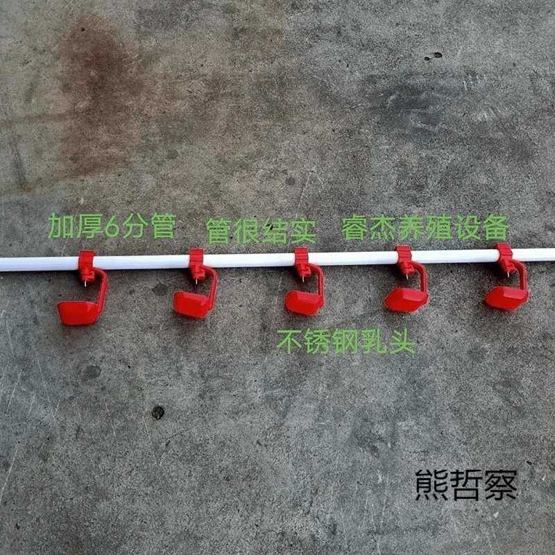 小鹅鸡养殖饮水线25饮水器6分管鸭子饮水3米厚2.0喂鸡自动饮水器