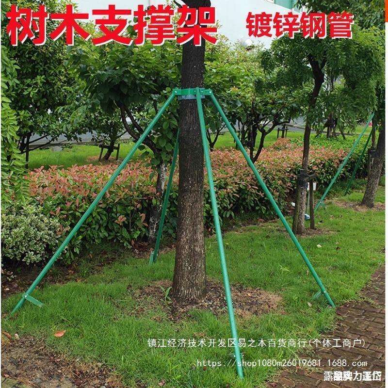 树木支撑固定器抱箍防风杆绿化镀锌钢管支撑架苗木支架乔木固定杆