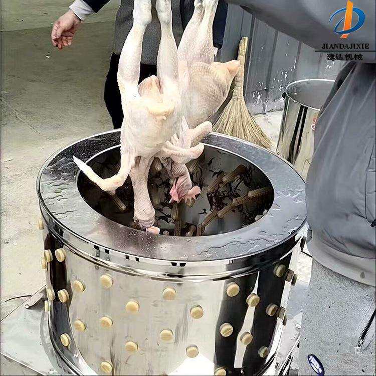 小型杀鸡脱毛机不锈钢商用家禽打毛机拔毛器鸡鸭家禽价格