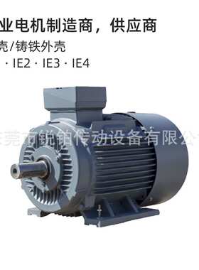 欧瑞京OMEC MOTORS电机OMA3系列铸铁铝壳11KW工业机械设备电动机