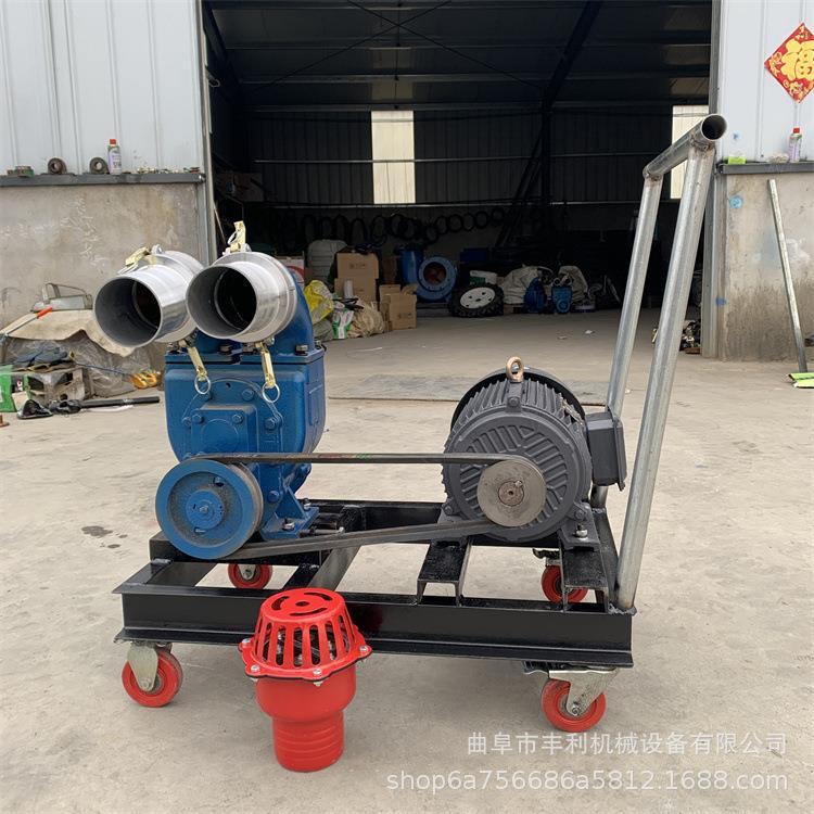 汽油机3寸4寸抽粪泵 鸡鸭粪便清理污水泵 家用小型柴油抽粪泵