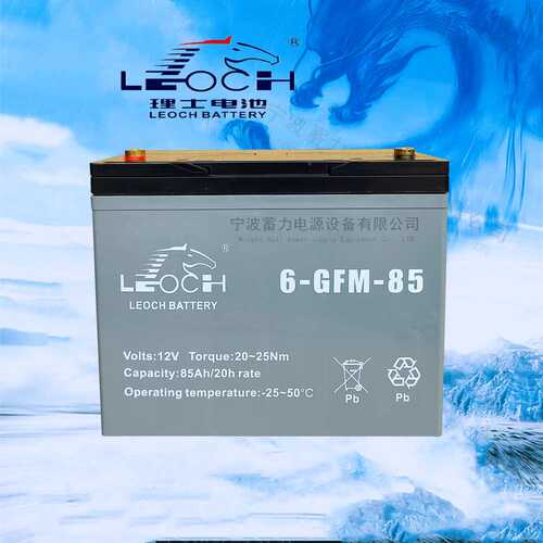 小金刚6GFM85蓄电池电动托盘搬运车堆垛叉车地牛车12V85AH电瓶