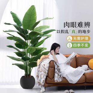 仿真绿植天堂鸟植物轻奢室内大型仿生盆栽摆件客厅装饰落地假花树
