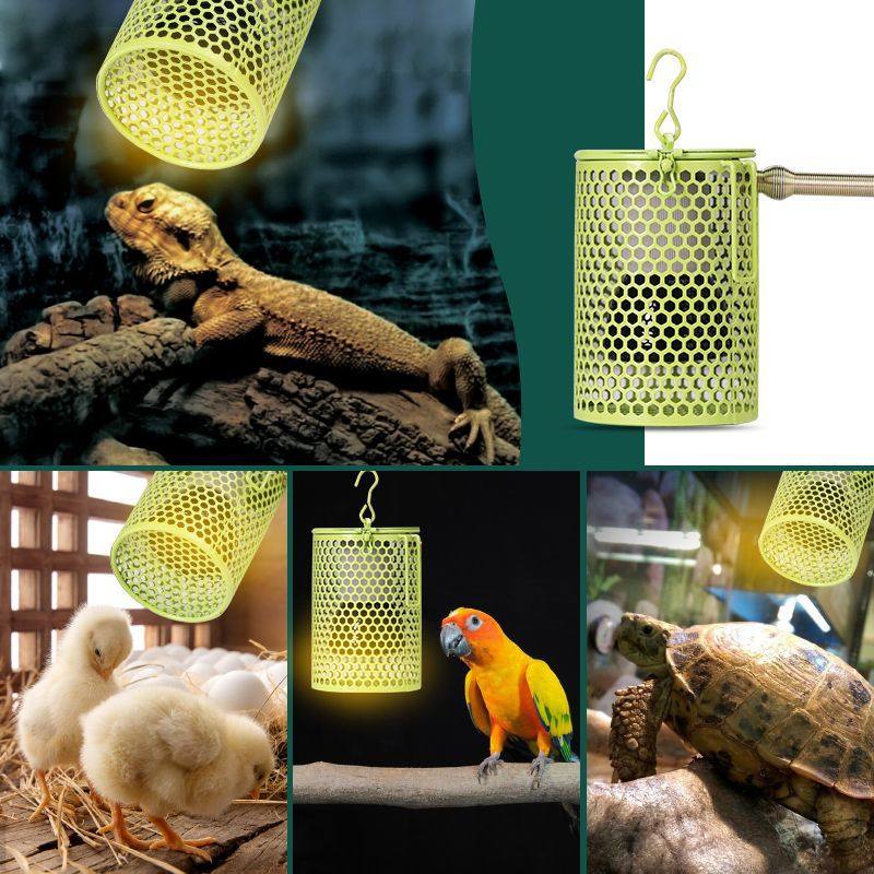 陶瓷保温灯爬宠芦丁鸡保温灯乌龟蜥蜴宠物红外加热取暖灯泡饲养箱,宠物/宠物食品及用品,鸟禽喂食器/喂水器,淘宝优惠券,粉丝福利购,淘宝优惠卷