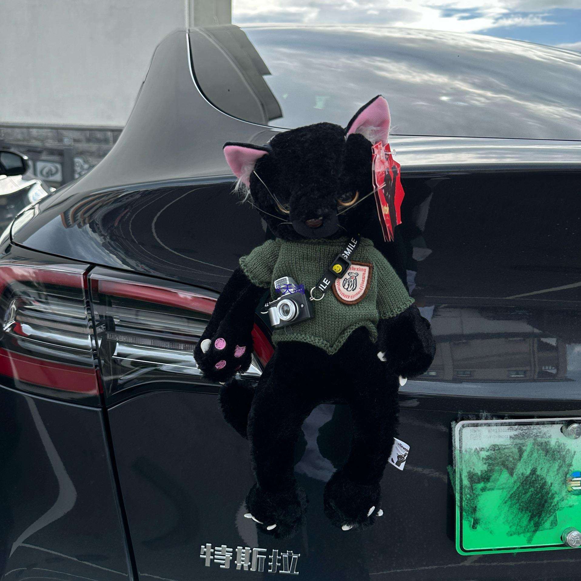 可爱猫咪公仔汽车尾部装饰挂件玩偶后备箱摆件车外防撞男友新车礼