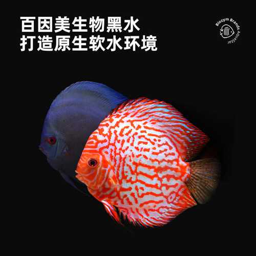 BIOZYM百因美生物黑水鱼缸龙鱼魟鱼软化水质稳定PH值促发色防跌酸