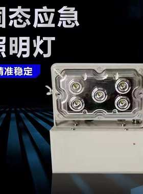 NFE9178固态免维护应急灯 变电站配电房照明灯 GAD605-JLED低顶灯