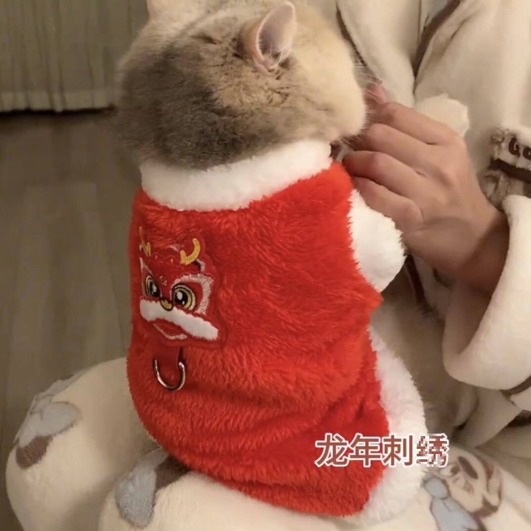 猫咪新年衣服防掉毛秋冬红色喜庆金渐层英短布偶猫宠物猫猫拜年服