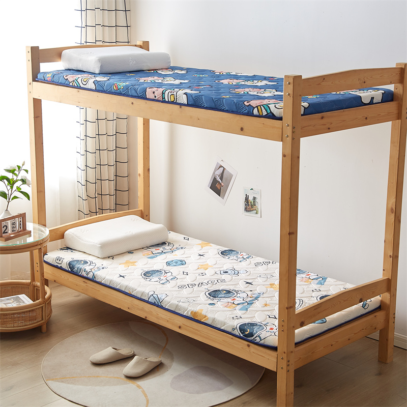 学生宿舍a夹棉床垫单人床褥软垫卧室双人凉席双面可用卡通地铺睡