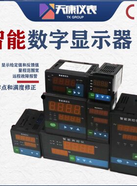 -H可编程屏-2L0数双-WP0-23P数显mA智能33P02-204 /T8表T80W---2-