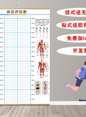 体态评估图健身房体测表瑜伽私教身体形体测评脊椎修复墙壁画装饰