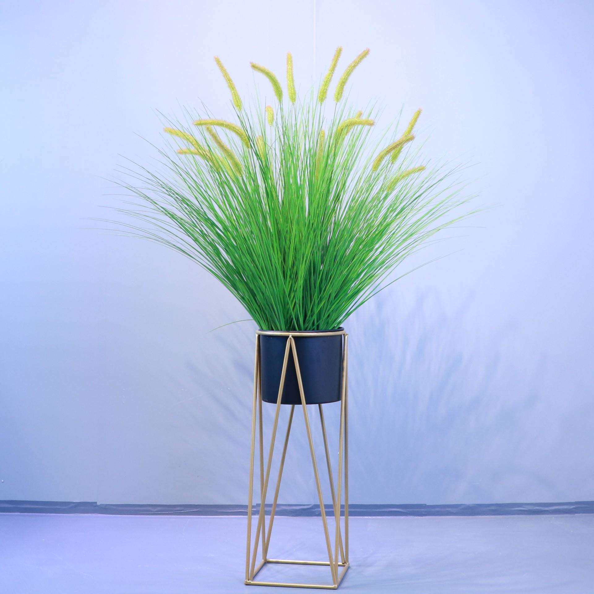 仿真狗尾草 阻燃植物 橱窗造景摆设盆景洋葱草把束 跨境 源头厂家