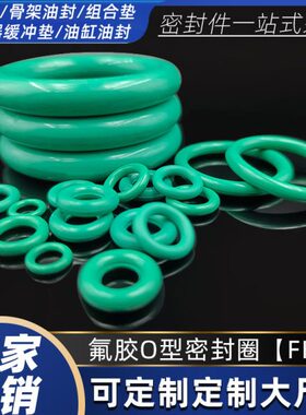 485内03010.氟520径/0*胶50549/48径53//耐高温密封圈型//线0O5