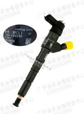 辽宁新风电喷油嘴NFI3.1/NCI3.2常柴1104-180200/4F20TCI-180200