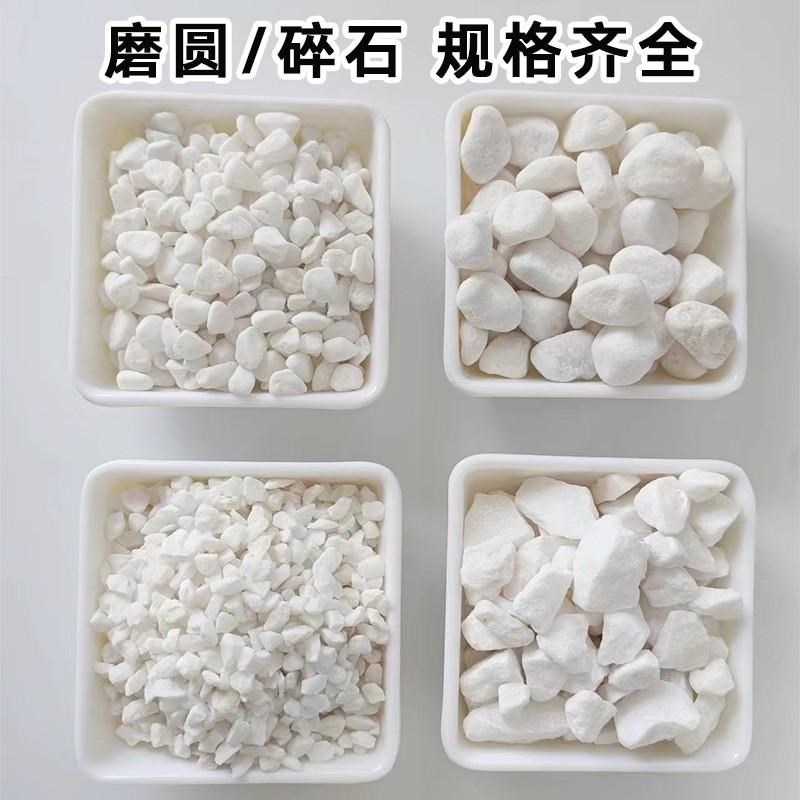 白色水磨石子日i式枯山水白石子白色砾碎石园林造景白水洗石鹅卵