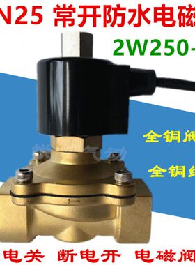 2525下喷泉2W24V- 室外水阀 常250防水 N电磁阀1寸 220V水防水D开