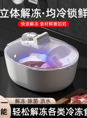 器德国多功能家用进解冻解冻器一解冻家用神器保鲜神器口解冻四合