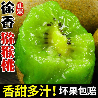 【下单立减50】（催熟食用）正宗陕西周至徐香猕猴桃新鲜应季水果