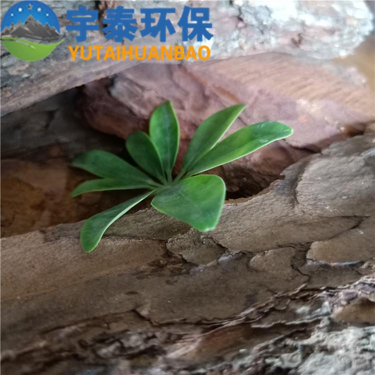 安徽厂家污水废水处理除臭松树皮滤料大块松树皮松鳞打磨树皮填料
