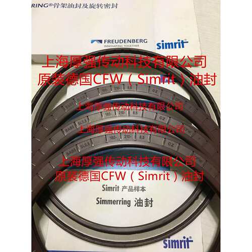 德国CFW/Simrit/FREUDENBERG油封CZ CFW 1 BAB6SL0.8 180-210-8.5