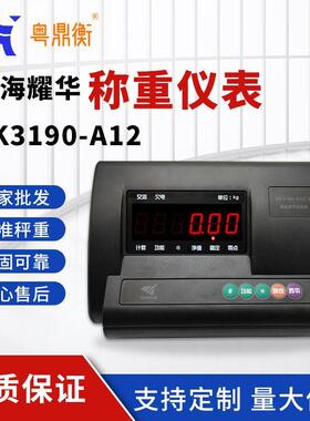 上海耀华XK190-A12E称重显示器电子称仪表台秤00kg地磅秤叉车称