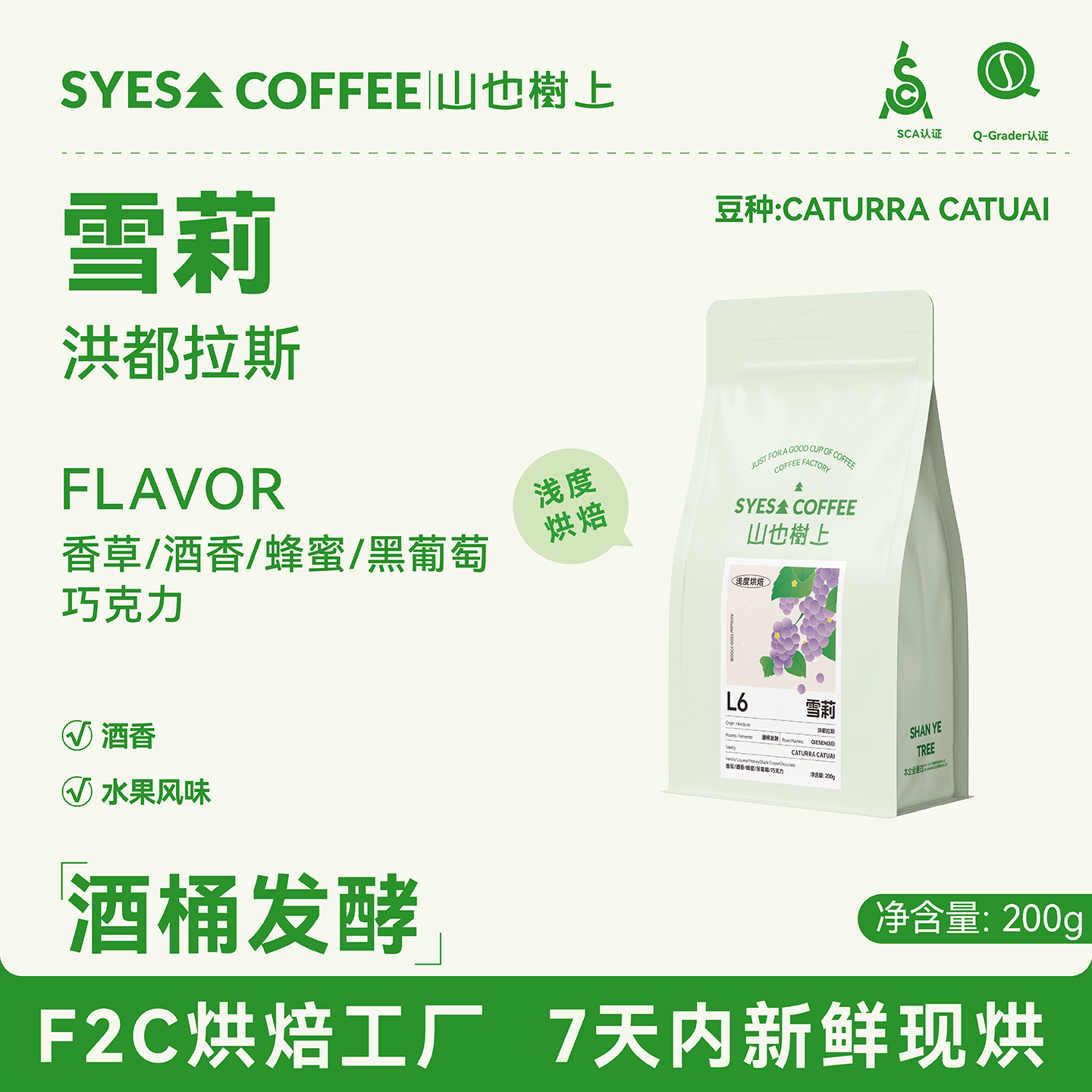 SYES山也树上雪莉咖啡豆洪都拉斯