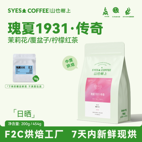 山也树上瑰夏1931中度烘焙咖啡豆