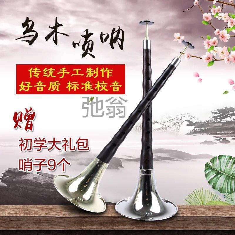 调唢呐乐器大中降全套C成人J唢呐乌木唢呐调中小B唢呐大中小有初