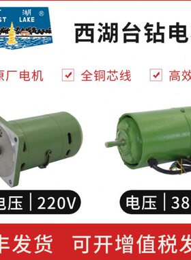 -Z5G6杭州马达-西湖台钻串WB原厂G4A22032激S Y38Z电机V0电压4ZW