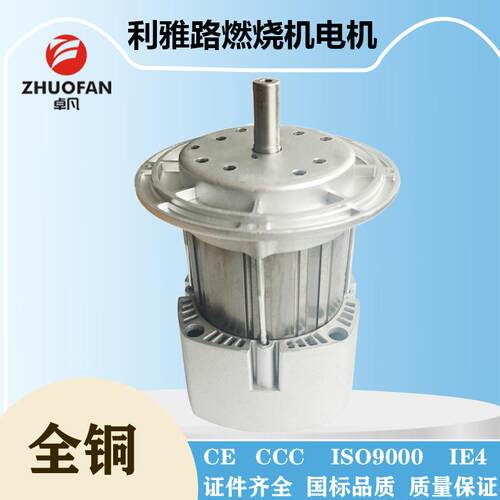 【卓凡电机】利雅路电机燃烧器风机RIELLO专用电机300W350WRS34RS