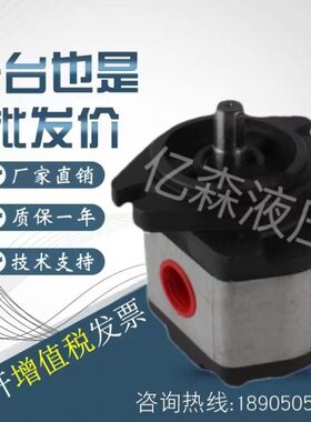 G6R11台湾19R全外啮合16齿轮泵R////懋/RR14齿轮油泵B-8CMRL浦E