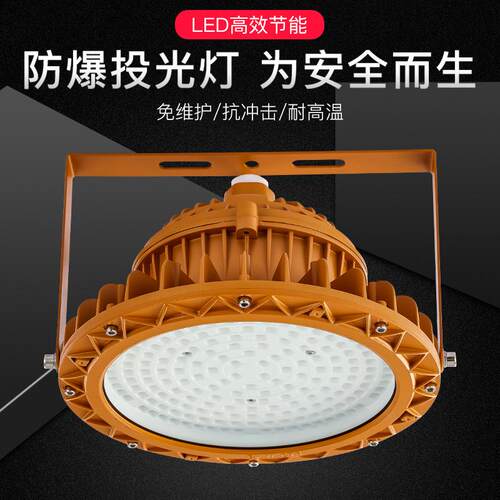 隔爆型加油站圆形LED防爆灯30W 50W工厂车间仓库应急照明投泛光灯