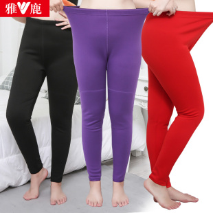 中老年妈妈棉裤 高腰打底裤 冬 女加绒加厚200斤大码 加肥加大保暖裤