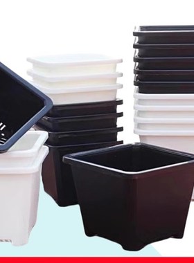 黑色多肉花盆景天小方盆单头老桩景天盆多肉小方盆塑料小黑方加厚