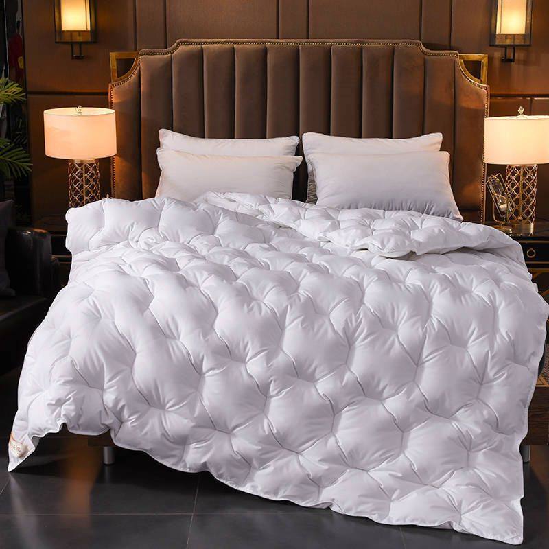 送被套冬季加厚保暖8/10斤单双人春秋羽绒被羽丝绒棉被被芯